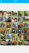 Pairs: Tiere screenshot 8