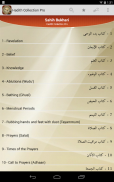 Hadith Collection - All in One screenshot 7