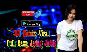 Dj Remix Viral Full Bass screenshot 0