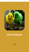 Chicks Wallpapers screenshot 0