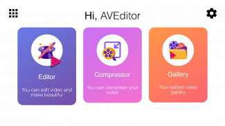 AVEditor screenshot 2