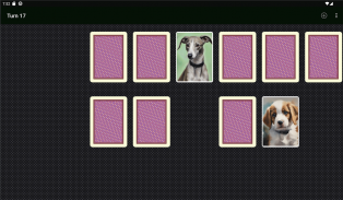 Memory Match Cards screenshot 12