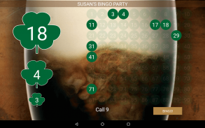 Bingo Caller Machine screenshot 10