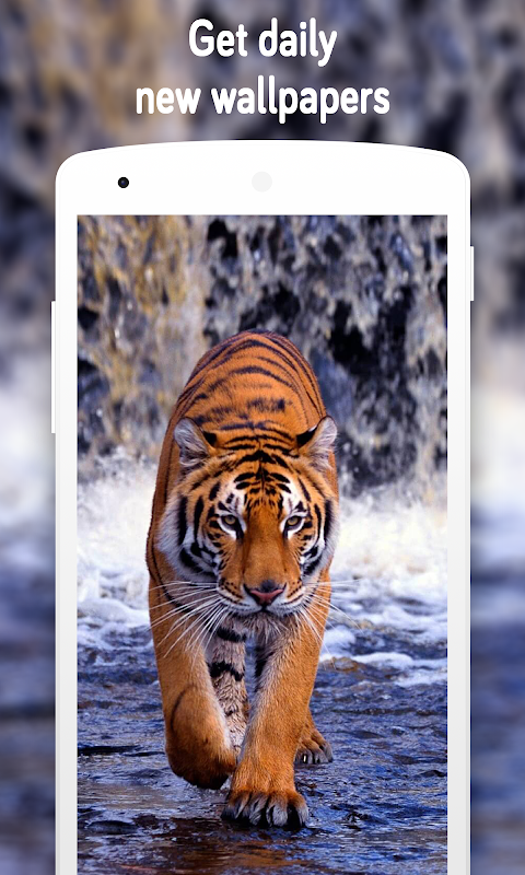 Tigers by Live Wallpaper HD 3D para Android baixar grátis. O papel