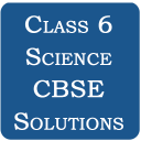 Class 6 Science CBSE Solutions