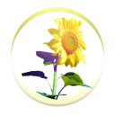 Sunflower - Weather map Icon