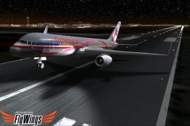 Flight Simulator Night NY Free screenshot 1