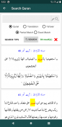 Tafseer Tadabbur-e-Quran screenshot 2