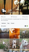 App4Pets - Réseau social pour screenshot 2