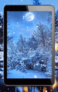 Winter Night Live Wallpaper screenshot 5