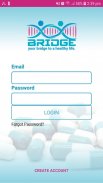 Bridge screenshot 3