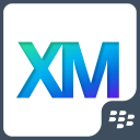 Qualtrics XM for BlackBerry