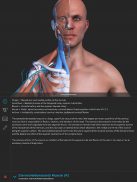 Visual Anatomy 3D screenshot 12
