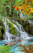 Hutan, air terjun, danau screenshot 2