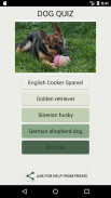 How Many Of These Dog Breeds Do You Know ? screenshot 1