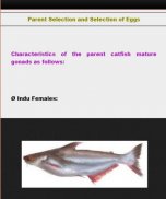 How to hatch catfish screenshot 3