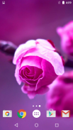 Roses Live Wallpaper screenshot 7