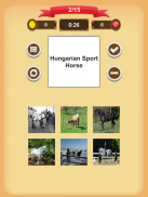 Horse Quiz screenshot 6