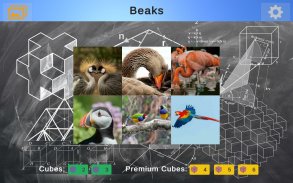 Platonic Cube screenshot 3