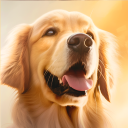 Golden Retriever Simulator Icon