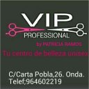 VIP PROFESSIONAL