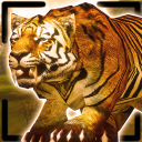 Tiger King Simulator Icon