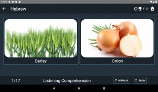 Hebrew Language Tests screenshot 2