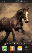 Horses Live Wallpaper screenshot 1