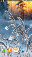 Winter Wallpaper screenshot 7