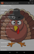 Thanksgiving Ringtones Sounds screenshot 7