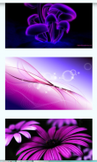 Purple Images Wallpapers screenshot 3