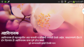 Ashtavinayak (अष्टविनायक) screenshot 8