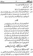 Tareekh e Islam-Islamic History in Urdu complete screenshot 4