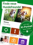 Dogorama – Die Hunde-Community screenshot 14