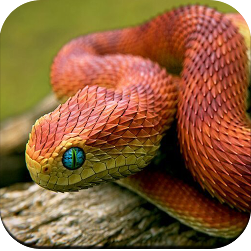 Snake para Android - Download