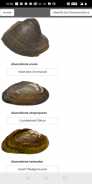 Freshwater Mussel Identification Guide screenshot 0