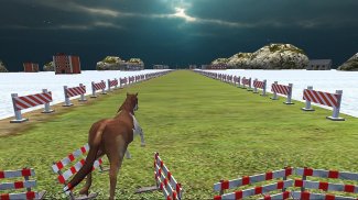 sauvage Derby cheval course screenshot 3