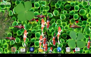 Koi Fish Live Wallpaper 3D screenshot 1