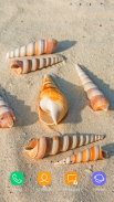 Shells Wallpaper screenshot 8