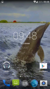 Dolphin 3d. Video Wallpaper screenshot 1