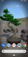 Bonsai 3D Live Wallpaper screenshot 2