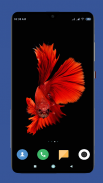 Betta Fish Wallpaper HD screenshot 5