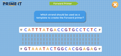 Prime It DNA Game screenshot 2