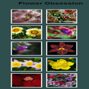 Flower Obsession