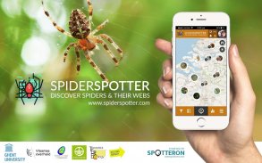 SpiderSpotter | SPOTTERON screenshot 9