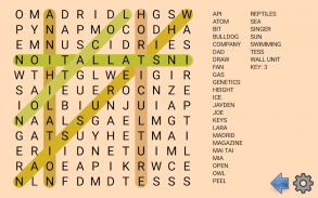 Word search screenshot 23