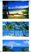 Hawaii Images Wallpapers screenshot 2