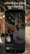 Dog breeds - Smart Identifier screenshot 0