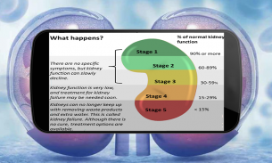 Understanding Kidney Function screenshot 1