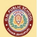 G N PUBLIC SCHOOL